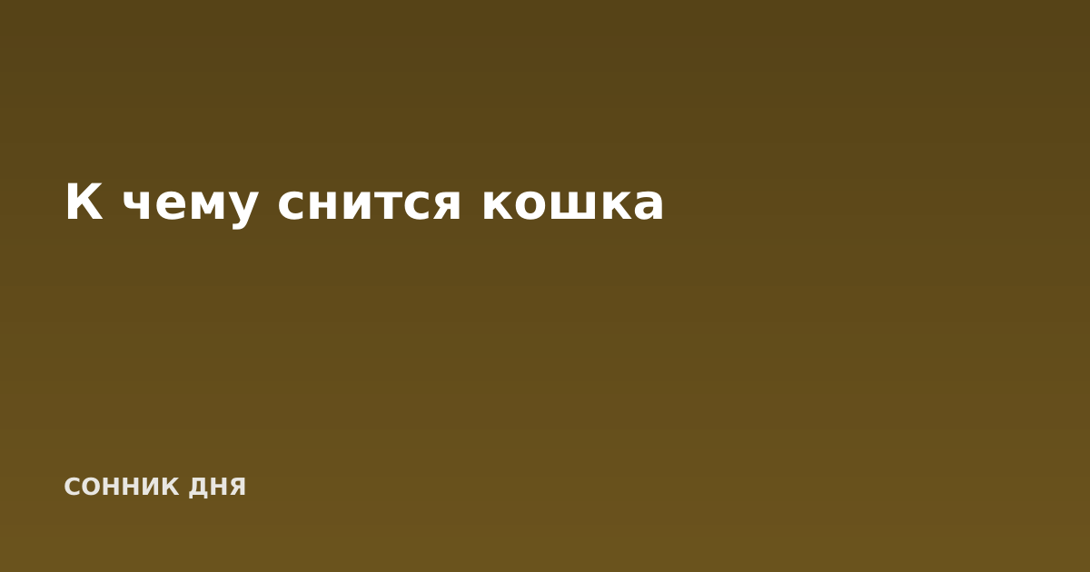 К чему снится кошка