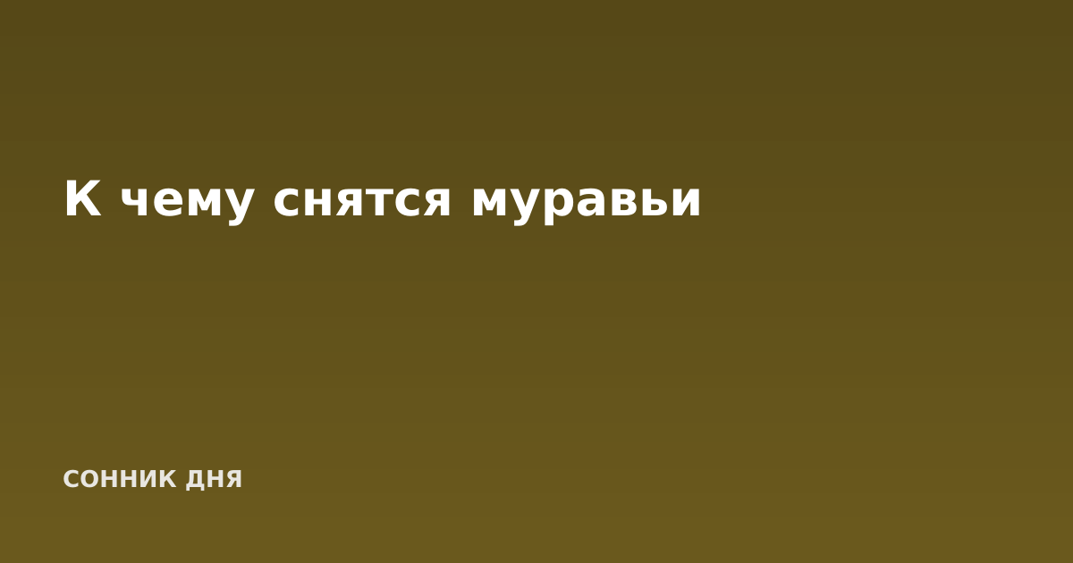 К чему снятся муравьи