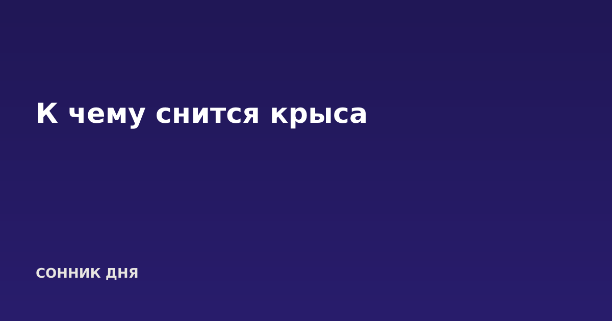 К чему снится крыса