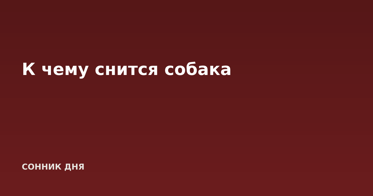 К чему снится собака